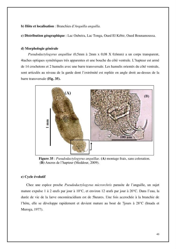Inventaire de la parasitofaune des poissons dulcicoles d\'Algérie:
