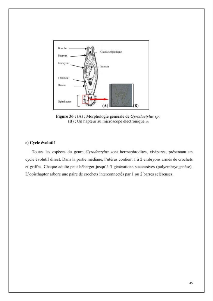 Inventaire de la parasitofaune des poissons dulcicoles d\'Algérie: