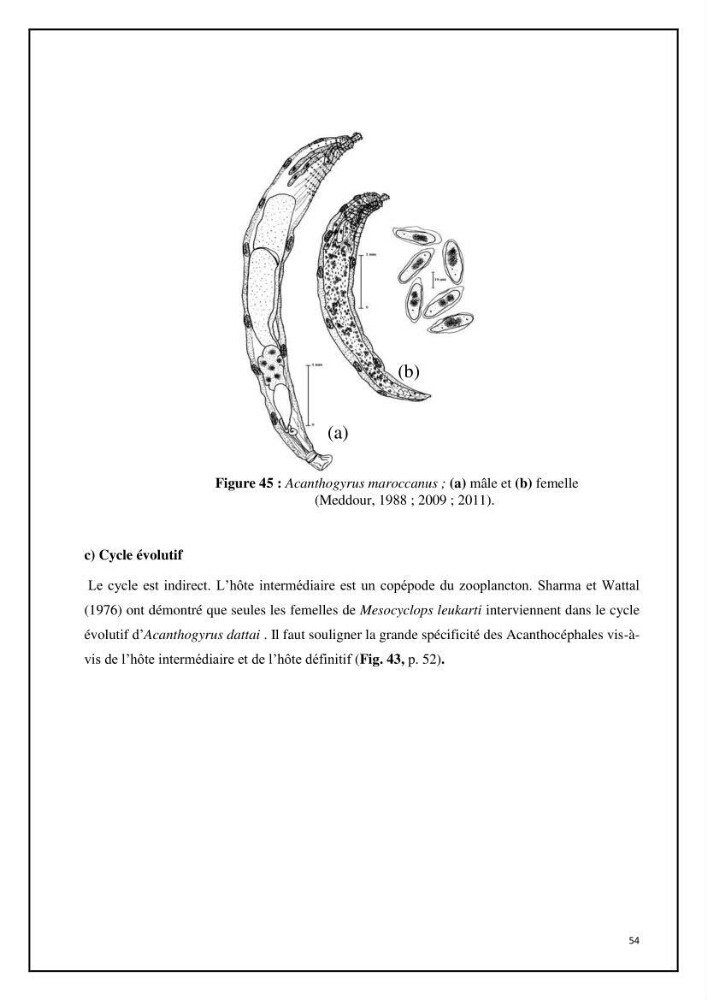 Inventaire de la parasitofaune des poissons dulcicoles d\'Algérie: