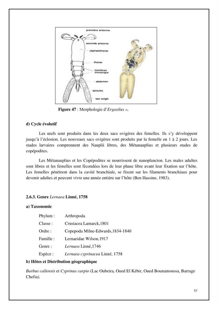 Inventaire de la parasitofaune des poissons dulcicoles d\'Algérie: