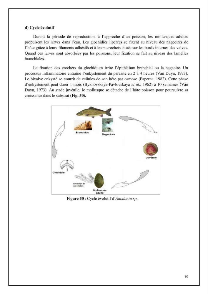Inventaire de la parasitofaune des poissons dulcicoles d\'Algérie: