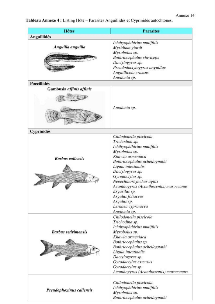 Inventaire de la parasitofaune des poissons dulcicoles d\'Algérie: