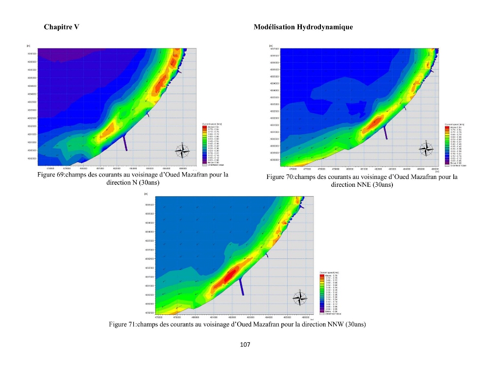Modélisation et cartographie de la vulnérabilité du littoral centre algérien face aux risques d\'inondation et de submersion marine