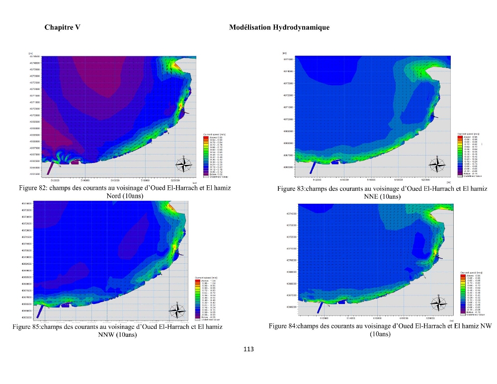 Modélisation et cartographie de la vulnérabilité du littoral centre algérien face aux risques d\'inondation et de submersion marine