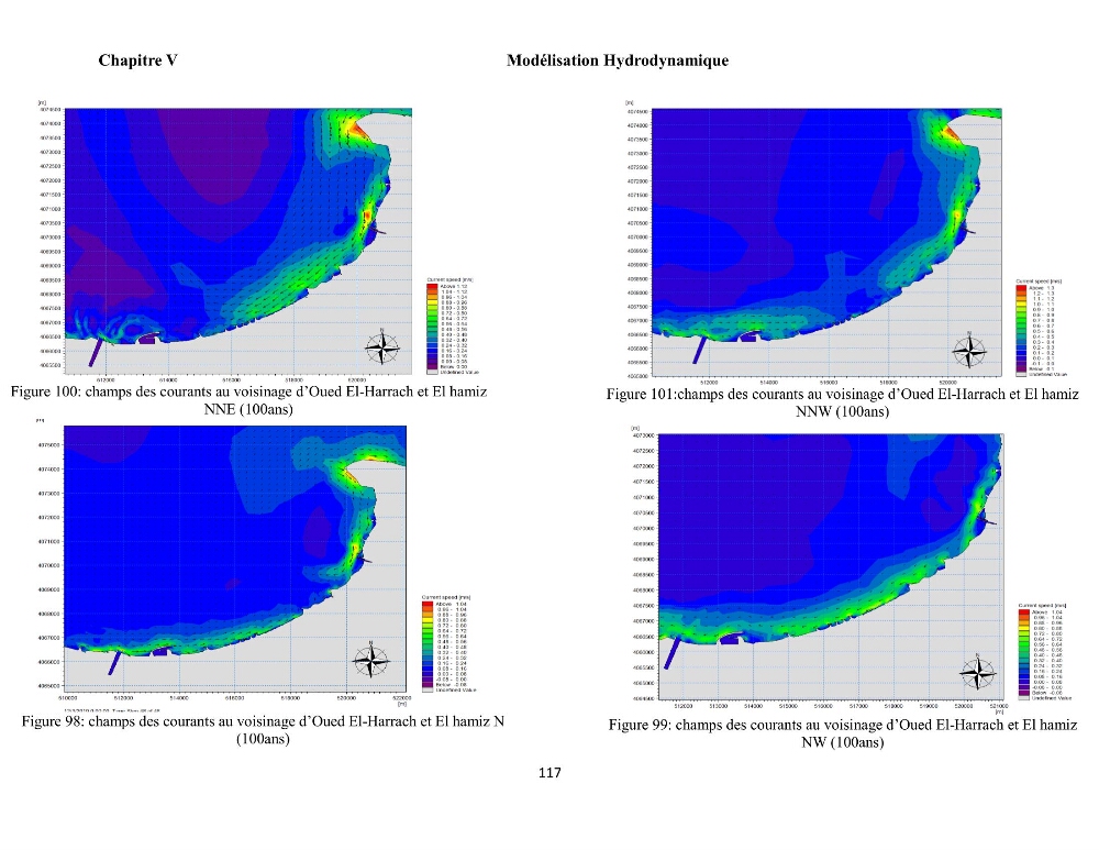 Modélisation et cartographie de la vulnérabilité du littoral centre algérien face aux risques d\'inondation et de submersion marine