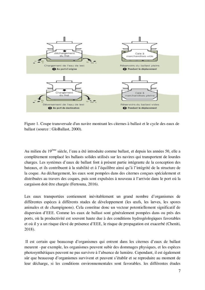 Inventaire des espèces introduites par les eaux de ballast et les coques des navires dans le port de Bejaia et un essai de compréhension de l’origine des espèces classées introduites au niveau de l’île Plane (Oran):