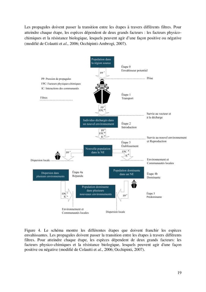 Inventaire des espèces introduites par les eaux de ballast et les coques des navires dans le port de Bejaia et un essai de compréhension de l’origine des espèces classées introduites au niveau de l’île Plane (Oran):