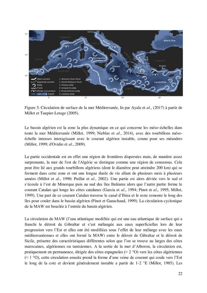 Inventaire des espèces introduites par les eaux de ballast et les coques des navires dans le port de Bejaia et un essai de compréhension de l’origine des espèces classées introduites au niveau de l’île Plane (Oran):
