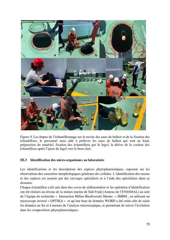 Inventaire des espèces introduites par les eaux de ballast et les coques des navires dans le port de Bejaia et un essai de compréhension de l’origine des espèces classées introduites au niveau de l’île Plane (Oran):