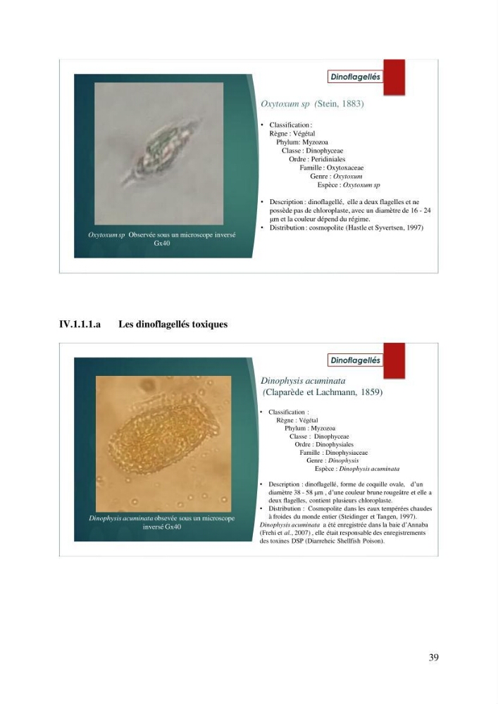 Inventaire des espèces introduites par les eaux de ballast et les coques des navires dans le port de Bejaia et un essai de compréhension de l’origine des espèces classées introduites au niveau de l’île Plane (Oran):