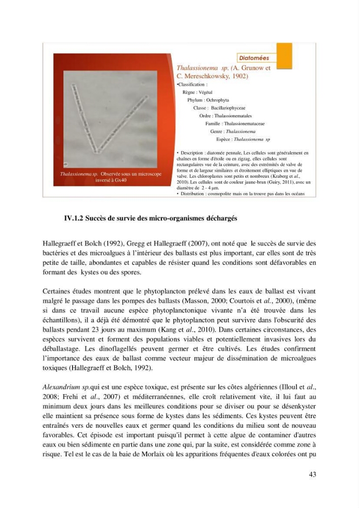 Inventaire des espèces introduites par les eaux de ballast et les coques des navires dans le port de Bejaia et un essai de compréhension de l’origine des espèces classées introduites au niveau de l’île Plane (Oran):