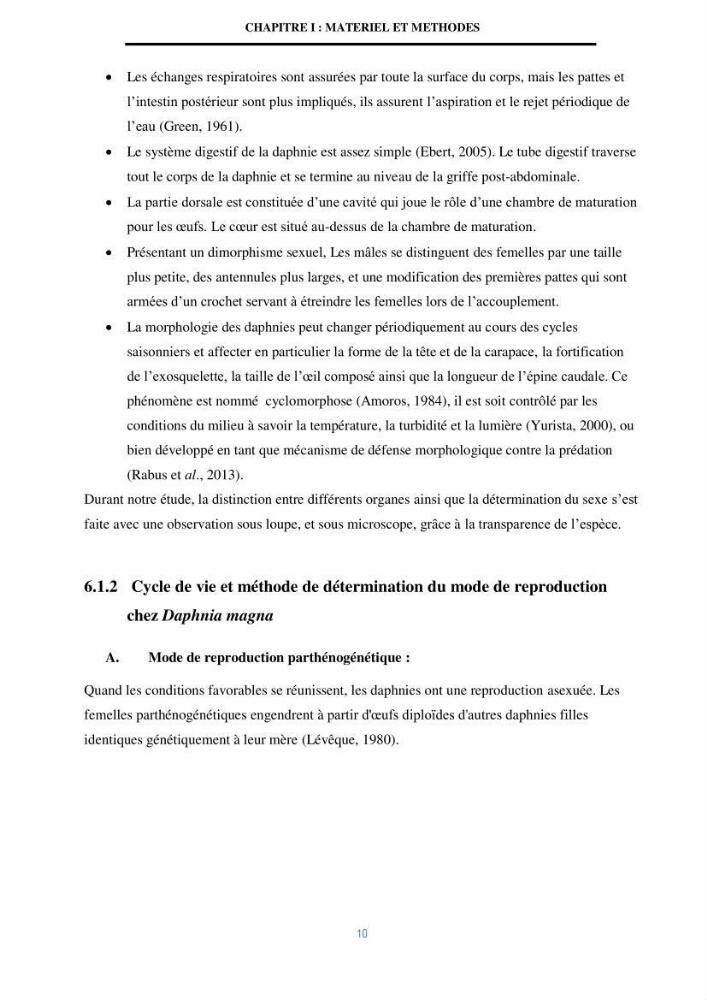 Mise en évidence des performances d\'un elevage d\'une souche de Daphnies: Daphnia magna