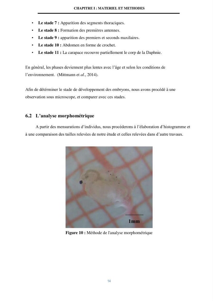 Mise en évidence des performances d\'un elevage d\'une souche de Daphnies: Daphnia magna