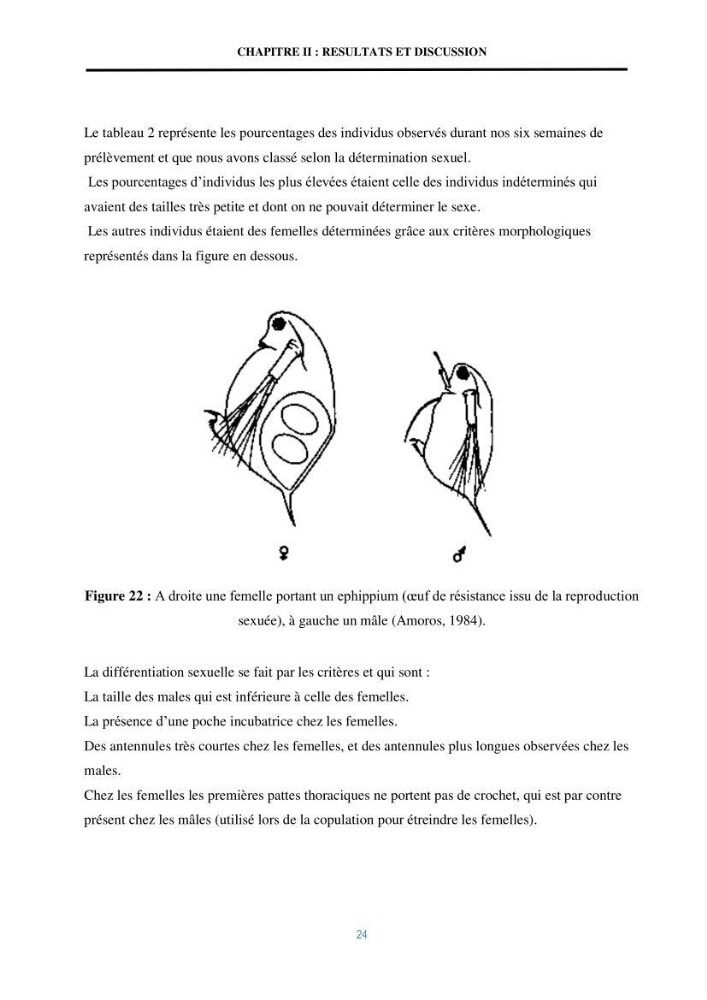 Mise en évidence des performances d\'un elevage d\'une souche de Daphnies: Daphnia magna
