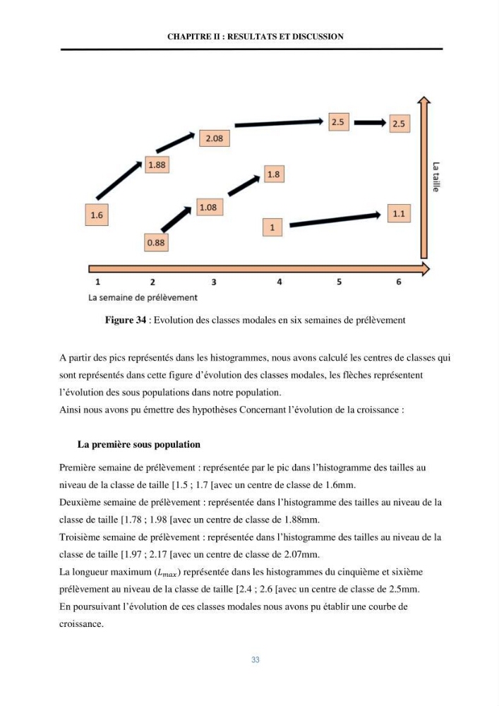 Mise en évidence des performances d\'un elevage d\'une souche de Daphnies: Daphnia magna