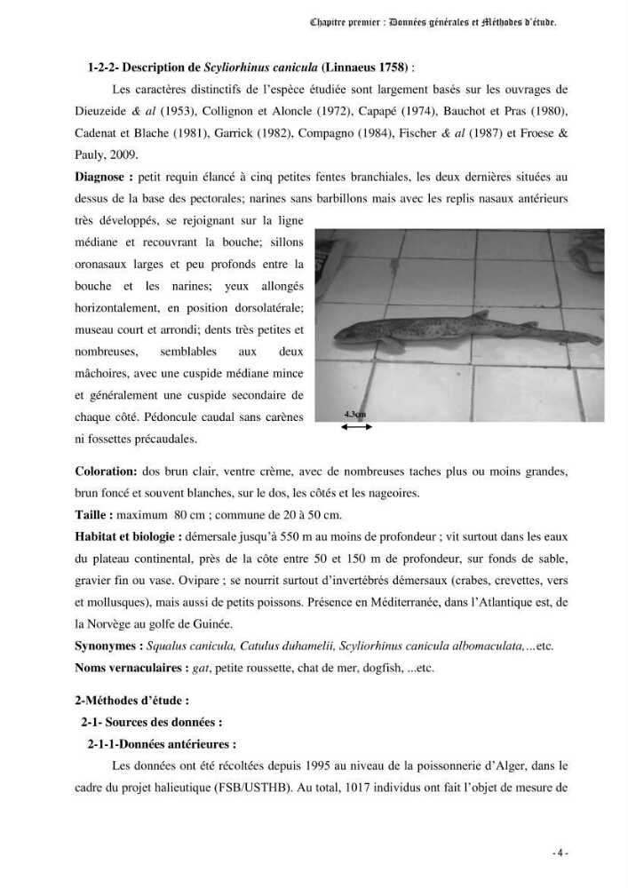 Contribution à l\'étude de la croissance et de l\'exploitation d\'un poisson clasmobranche (scyliorhinus canicula linnaeus, 1758) du bassin Algérien