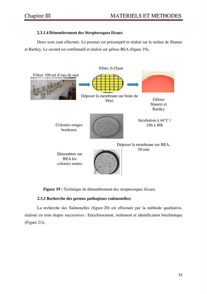 Caractérisation environnementale de la ferme d\'élevage de Daurade Sarl EAM
