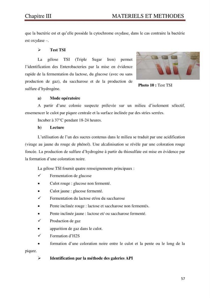 Caractérisation environnementale de la ferme d\'élevage de Daurade Sarl EAM