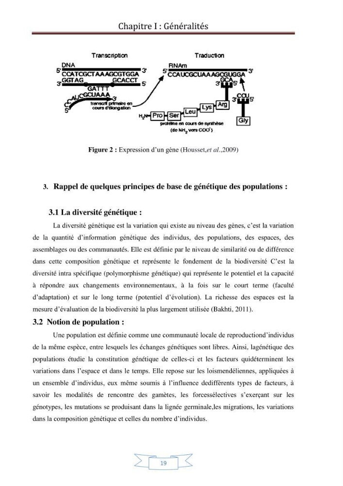 Recherche bibliographique sur les techniques de génétique moléculaire et leurs applications dans l\'identification des especes de poissons