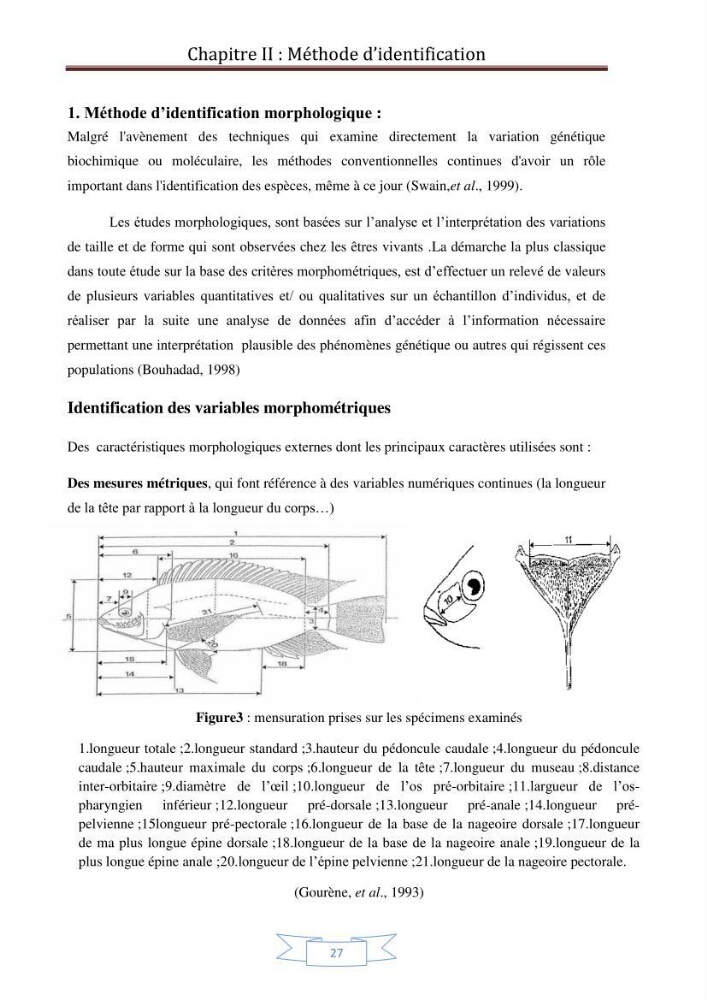 Recherche bibliographique sur les techniques de génétique moléculaire et leurs applications dans l\'identification des especes de poissons
