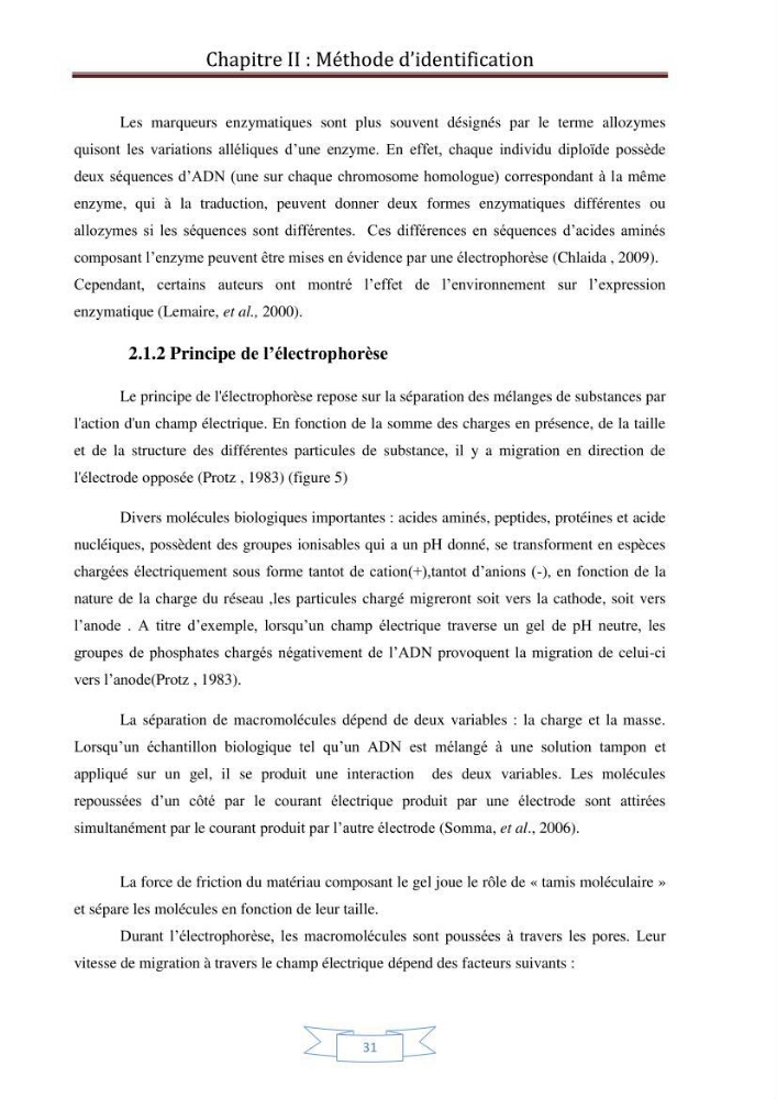 Recherche bibliographique sur les techniques de génétique moléculaire et leurs applications dans l\'identification des especes de poissons