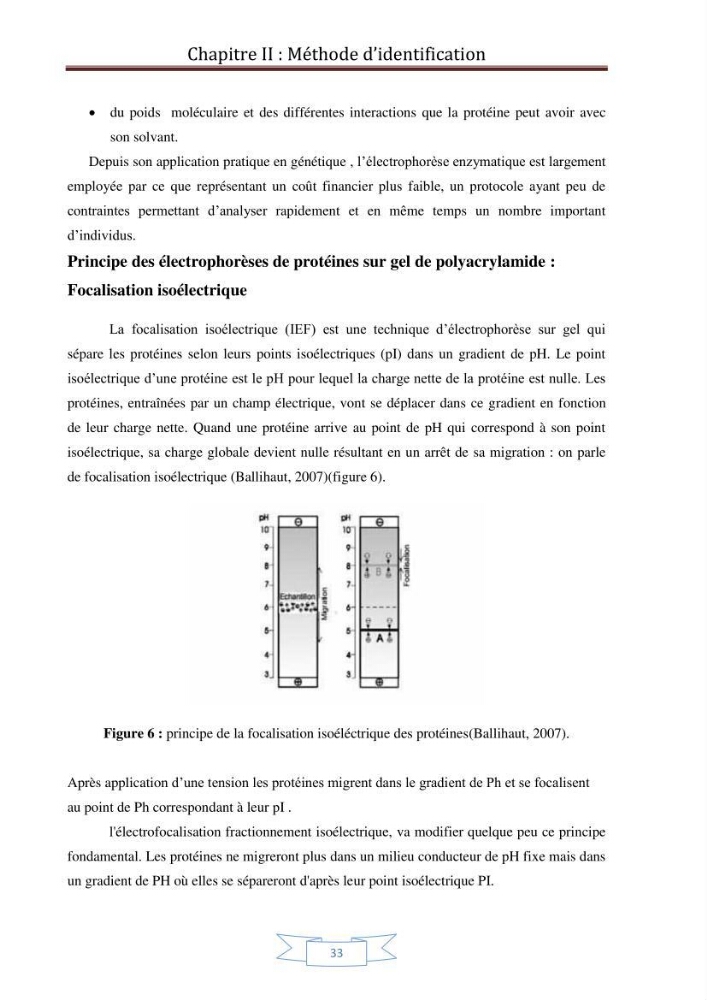 Recherche bibliographique sur les techniques de génétique moléculaire et leurs applications dans l\'identification des especes de poissons