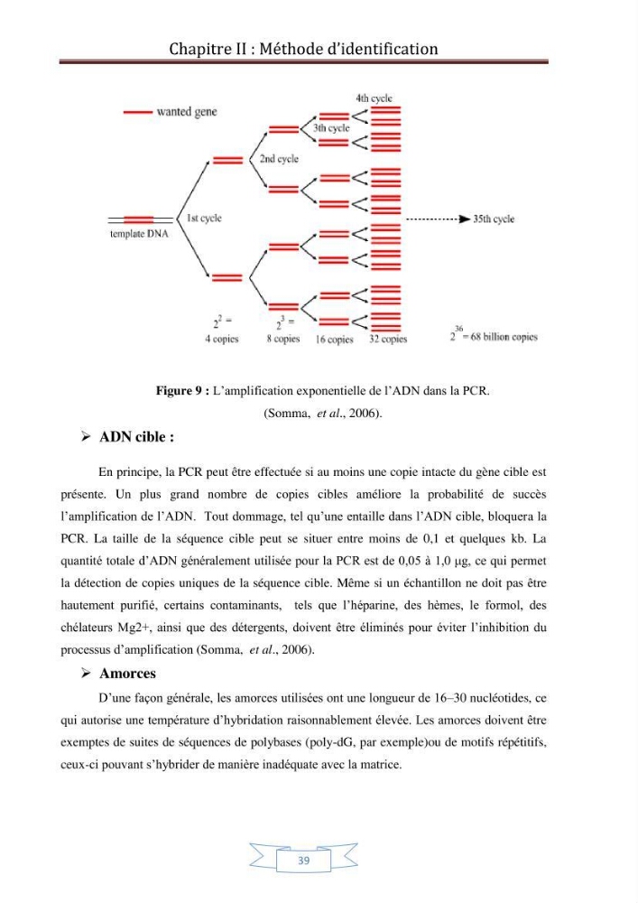 Recherche bibliographique sur les techniques de génétique moléculaire et leurs applications dans l\'identification des especes de poissons
