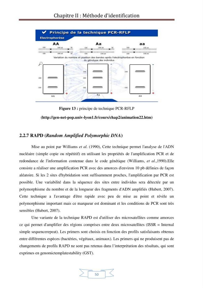 Recherche bibliographique sur les techniques de génétique moléculaire et leurs applications dans l\'identification des especes de poissons