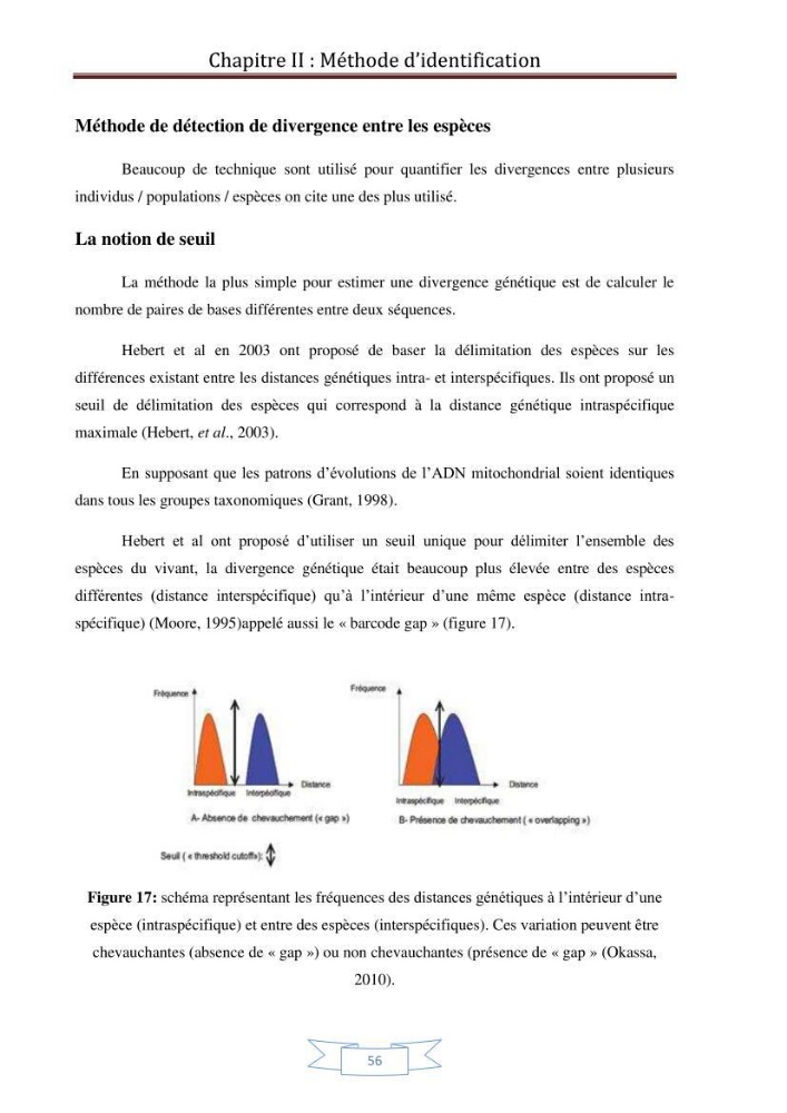 Recherche bibliographique sur les techniques de génétique moléculaire et leurs applications dans l\'identification des especes de poissons