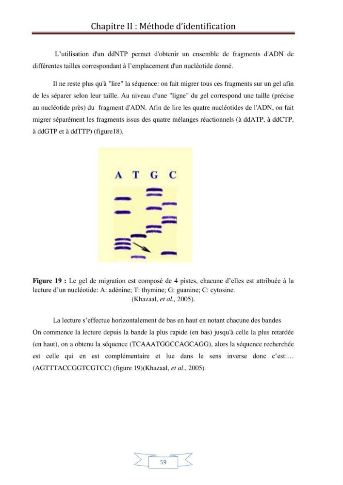 Recherche bibliographique sur les techniques de génétique moléculaire et leurs applications dans l\'identification des especes de poissons