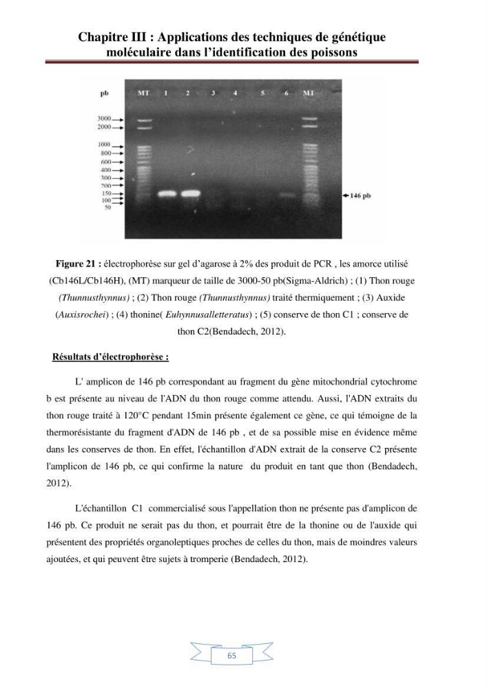 Recherche bibliographique sur les techniques de génétique moléculaire et leurs applications dans l\'identification des especes de poissons