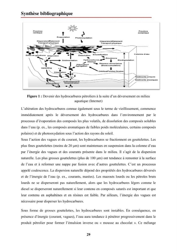 Evaluation de taux des hydrocarbures aromatiques polycycliques dans le foie et la chair du rouget de vase (Mullus barbatus) dans la baie de Bousmail