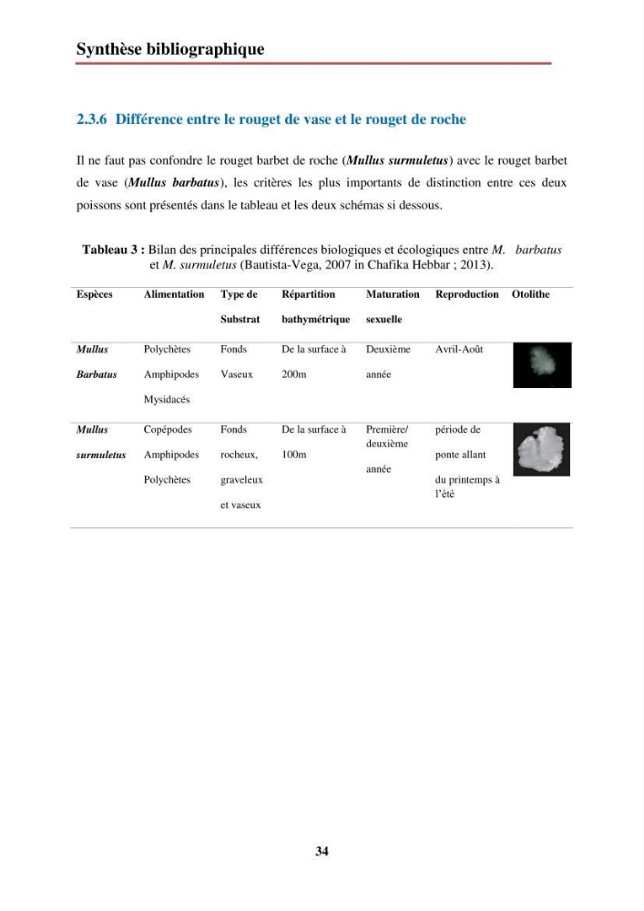 Evaluation de taux des hydrocarbures aromatiques polycycliques dans le foie et la chair du rouget de vase (Mullus barbatus) dans la baie de Bousmail