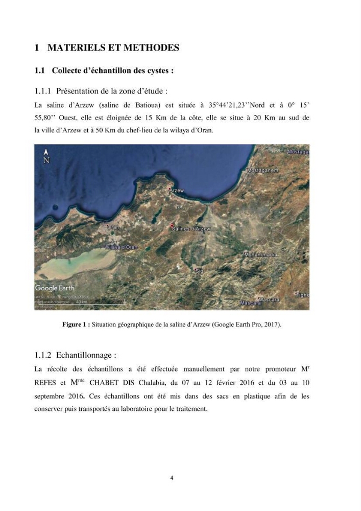 Mise en évidence des performances d\'élevage de différentes souches d\'Artémiz salina existantes en Algerie