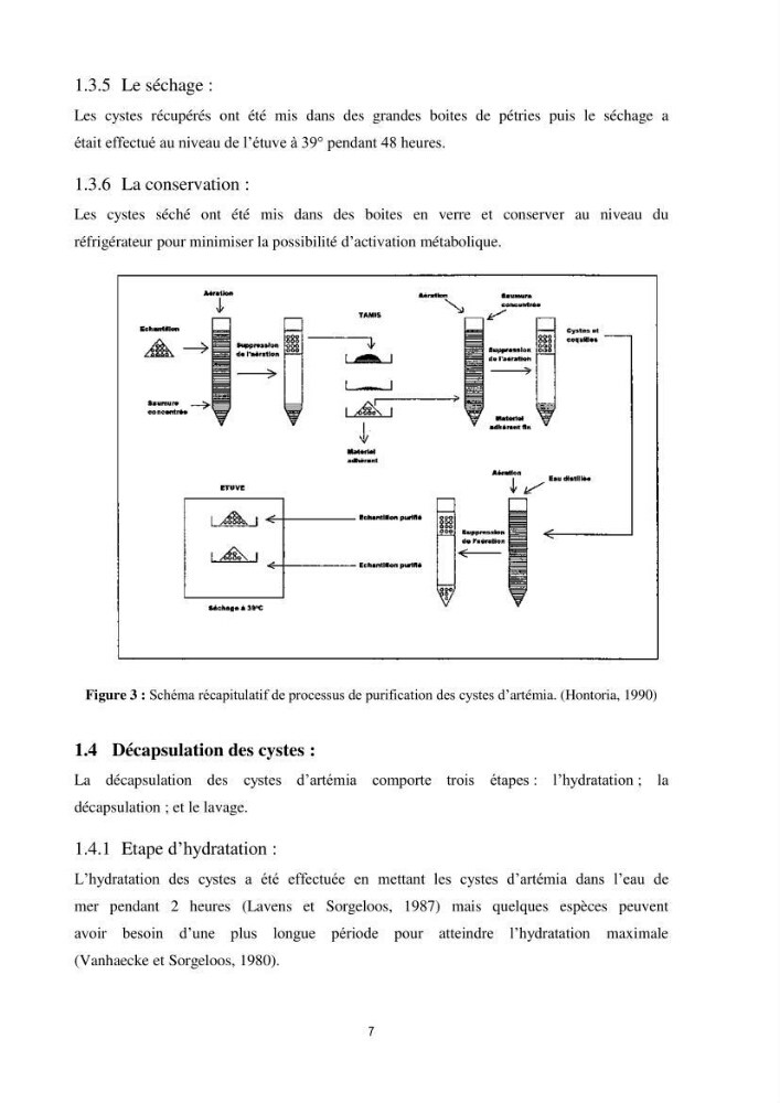 Mise en évidence des performances d\'élevage de différentes souches d\'Artémiz salina existantes en Algerie