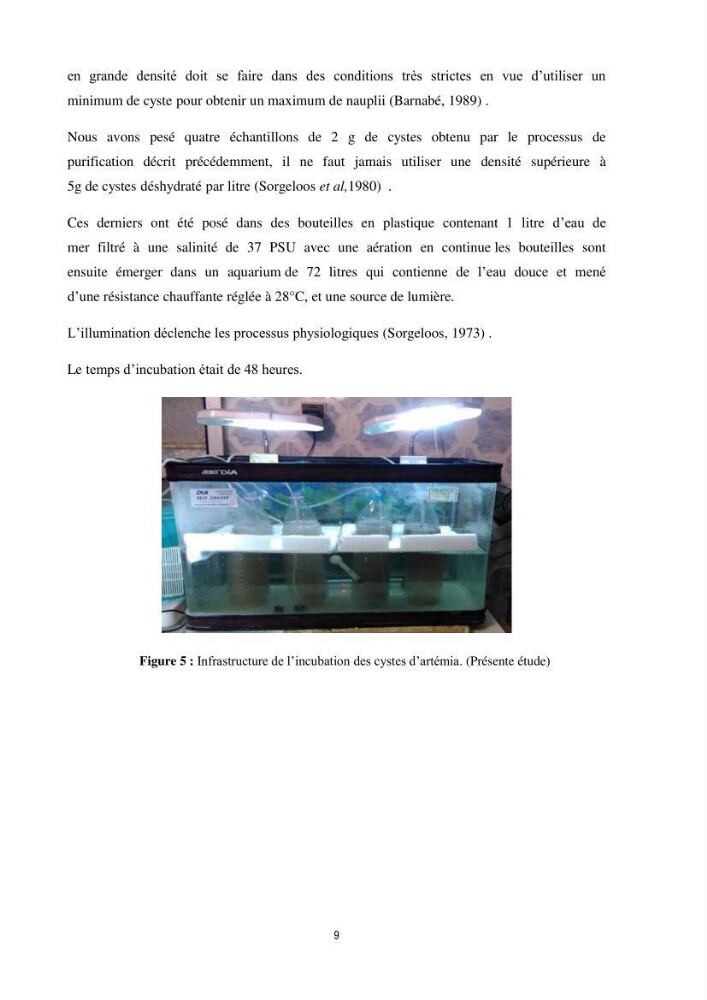 Mise en évidence des performances d\'élevage de différentes souches d\'Artémiz salina existantes en Algerie