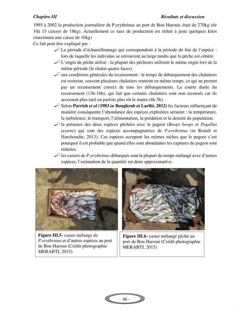 Contribution à l\'étude de l\'exploitation de Pagellus erythrinus ( Linnaeus,1758) dans la baie de Bou-Ismail: