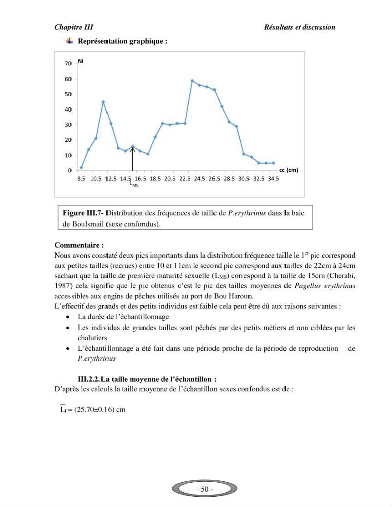 Contribution à l\'étude de l\'exploitation de Pagellus erythrinus ( Linnaeus,1758) dans la baie de Bou-Ismail: