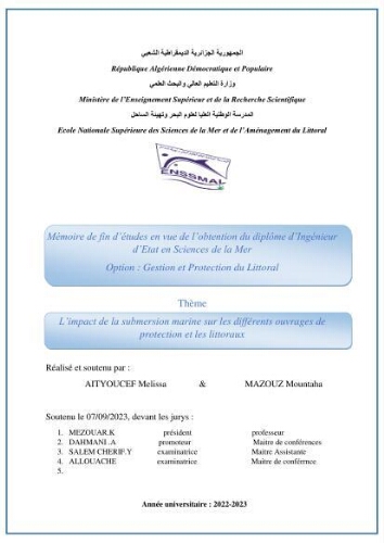 L’impact de la submersion marine sur les différents ouvrages de protection et les littoraux L’impact de la submersion marine sur les différents ouvrages de protection et les littoraux