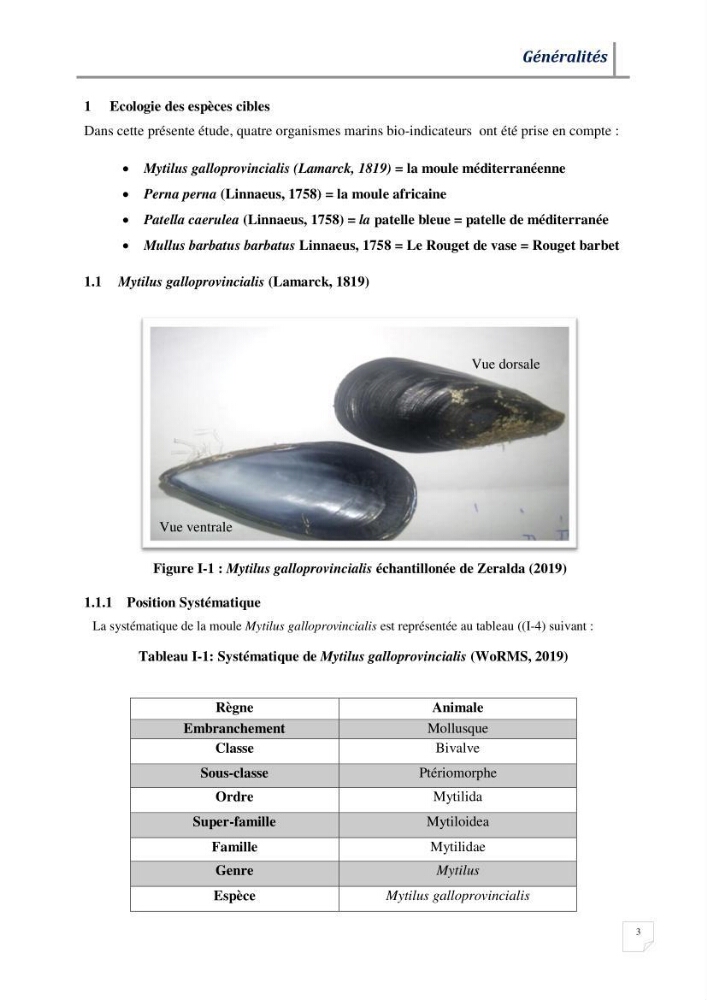 Contribution à l’évaluation des risques environnementaux radioactifs et métalliques sur la biodiversité de quelques organismes marins: