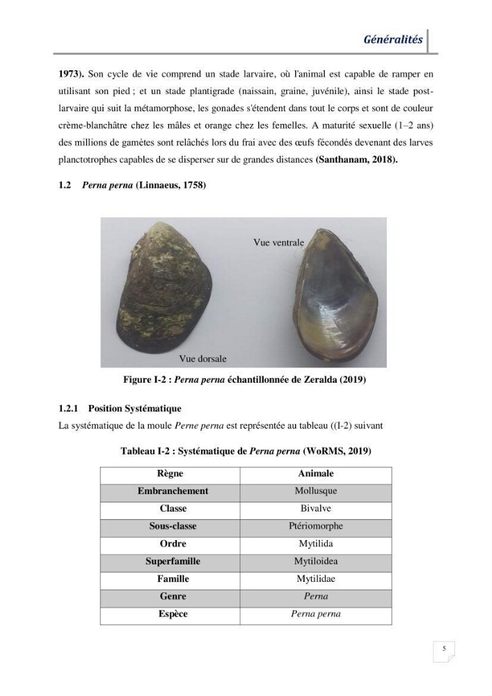 Contribution à l’évaluation des risques environnementaux radioactifs et métalliques sur la biodiversité de quelques organismes marins: