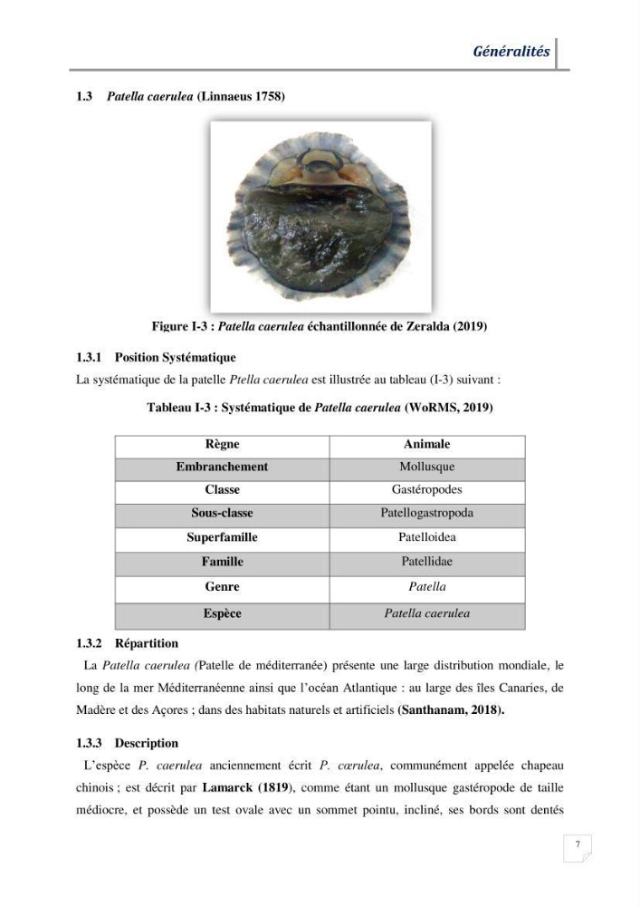Contribution à l’évaluation des risques environnementaux radioactifs et métalliques sur la biodiversité de quelques organismes marins: