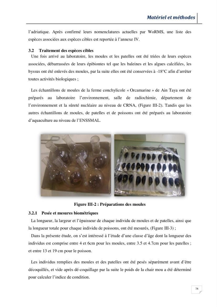 Contribution à l’évaluation des risques environnementaux radioactifs et métalliques sur la biodiversité de quelques organismes marins:
