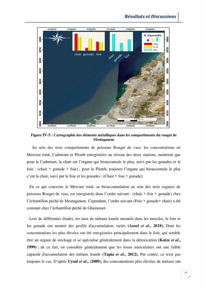 Contribution à l’évaluation des risques environnementaux radioactifs et métalliques sur la biodiversité de quelques organismes marins: