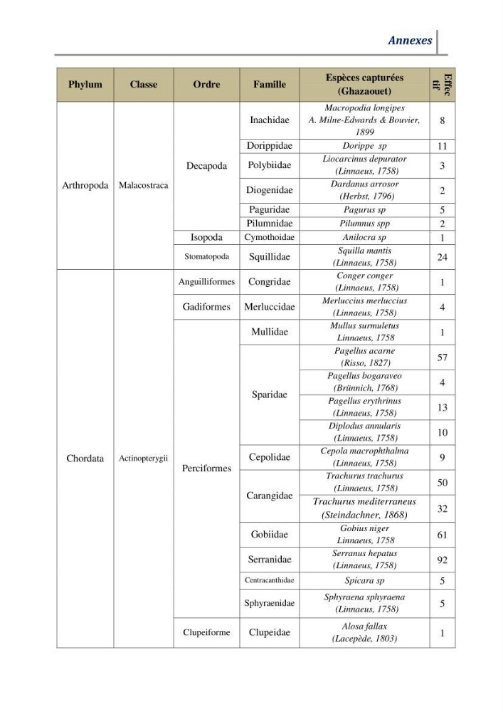 Contribution à l’évaluation des risques environnementaux radioactifs et métalliques sur la biodiversité de quelques organismes marins: