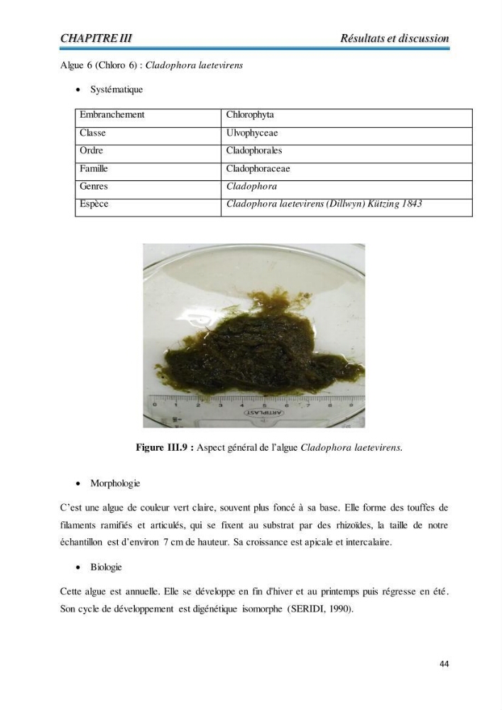 Contribution à l’élaboration d’un complément alimentaire algale destiné à l’amélioration de la pigmentation des poissons d’élevage