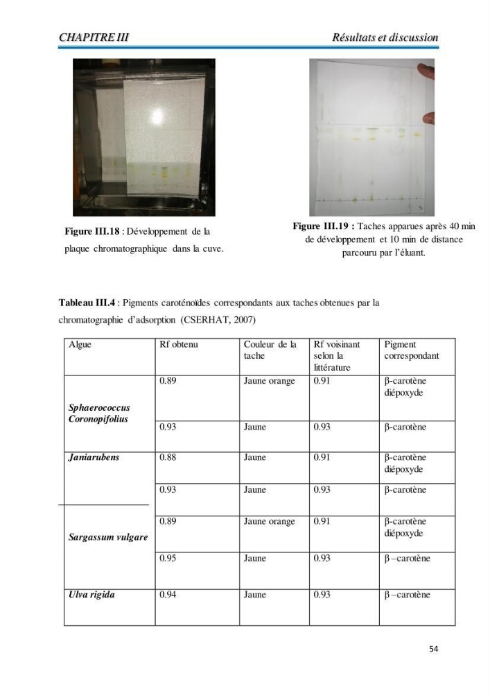 Contribution à l’élaboration d’un complément alimentaire algale destiné à l’amélioration de la pigmentation des poissons d’élevage