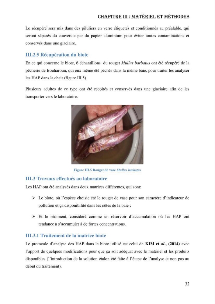 Evaluation de la vulnérabilité bio-morphosédimentaire de la baie de Bou-Ismail face à une pollution potentielle par les hydrocarbures
