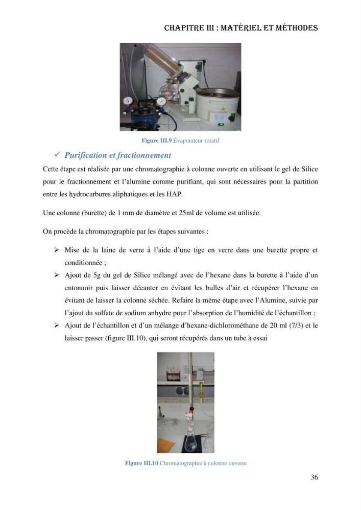 Evaluation de la vulnérabilité bio-morphosédimentaire de la baie de Bou-Ismail face à une pollution potentielle par les hydrocarbures