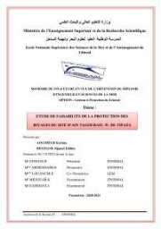 Etude de faisabilité de la protection des rivages du site d'Ain Tagourait.w.de Tipaza